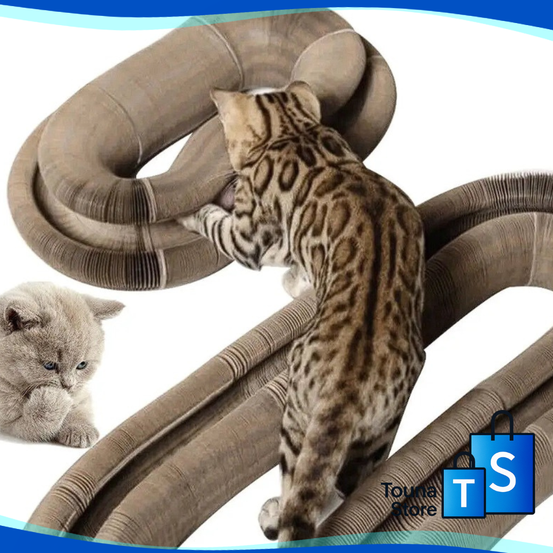 3-in-1 Interactive Cat Toy