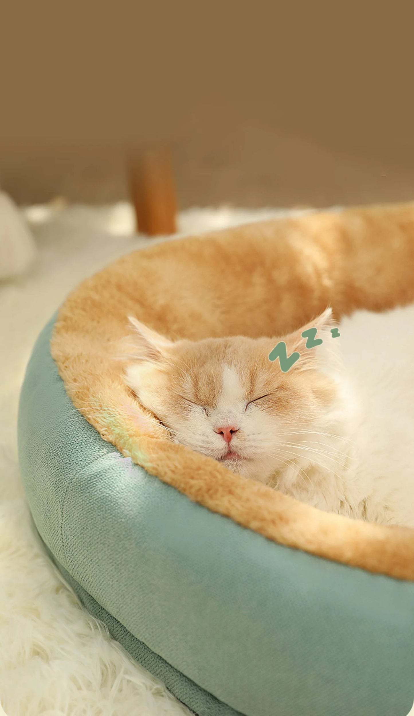 Premium Cosy Pet Bed
