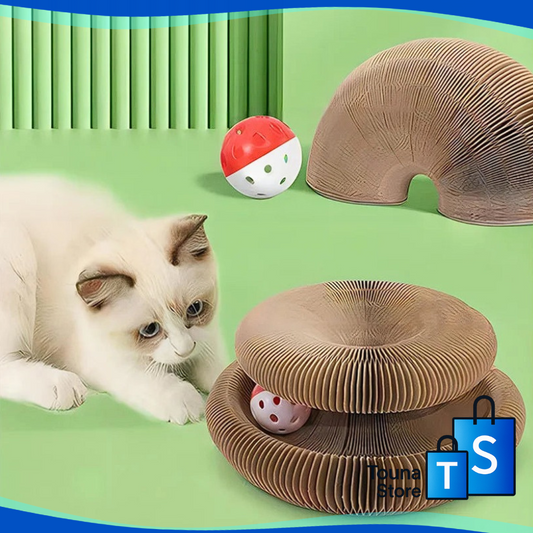 3-in-1 Interactive Cat Toy